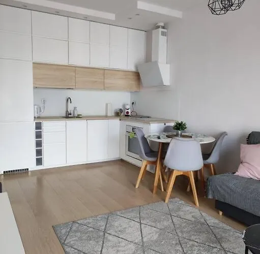 Lovely Vis-a-vis Medicover And Paley Institute Apartment Warsaw